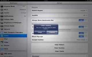 Delete iPad Safari Search History