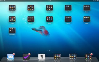 How To Use Folders For Organizing Home Screen On iPad