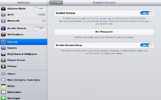 How To Use Guided Access On iPad Mini