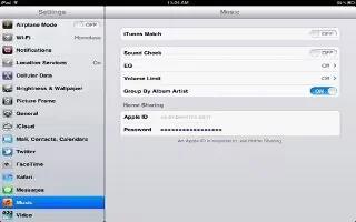 How To Use Music Settings On iPad Mini