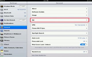 How To Set Options For Siri On iPad Mini