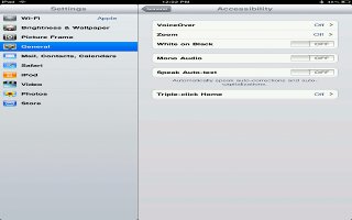 How To Use VoiceOver On iPad Mini
