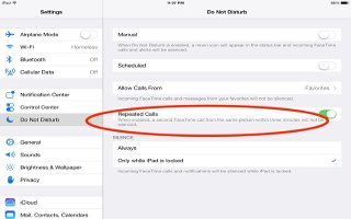 How To Use Do Not Disturb Settings - iPad Air