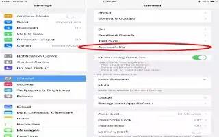 How To Use Accessibility  Shortcut - iPad Mini 2