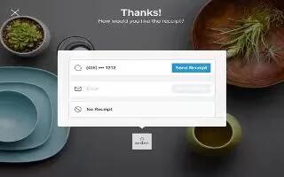 How To Use Point Scanning – iPad Mini 2