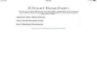 How To Use iCloud Keychain - iPad Air