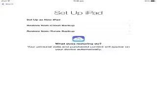 How To Setup – iPad Mini 2