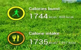 How To Use S Health – Samsung Galaxy S4
