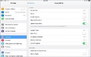 How To Use Zoom – iPad Mini 2