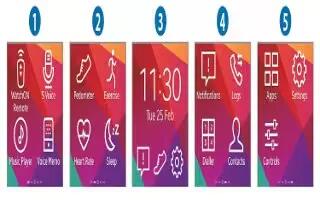 How To Use Home Screen – Samsung Gear 2 Neo