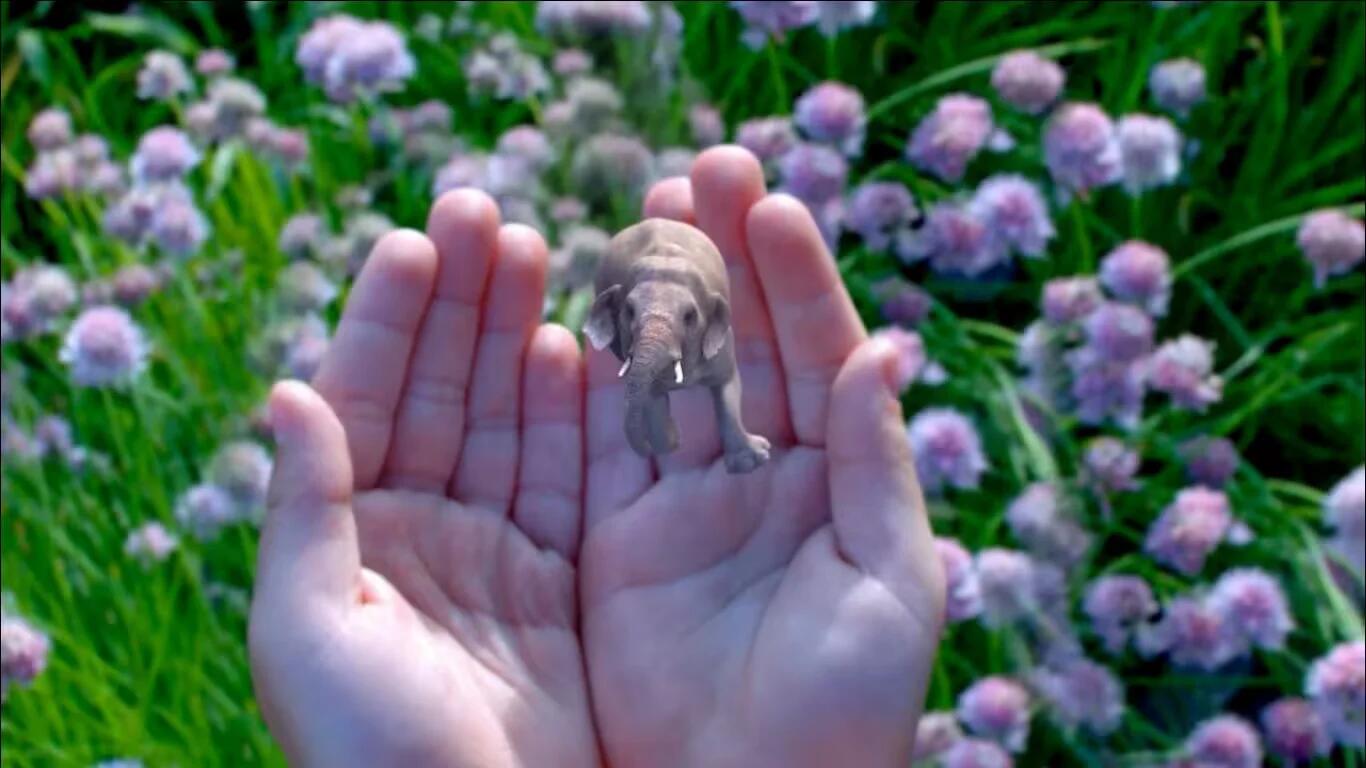 Google Backs Magic Leap On Augmented Reality