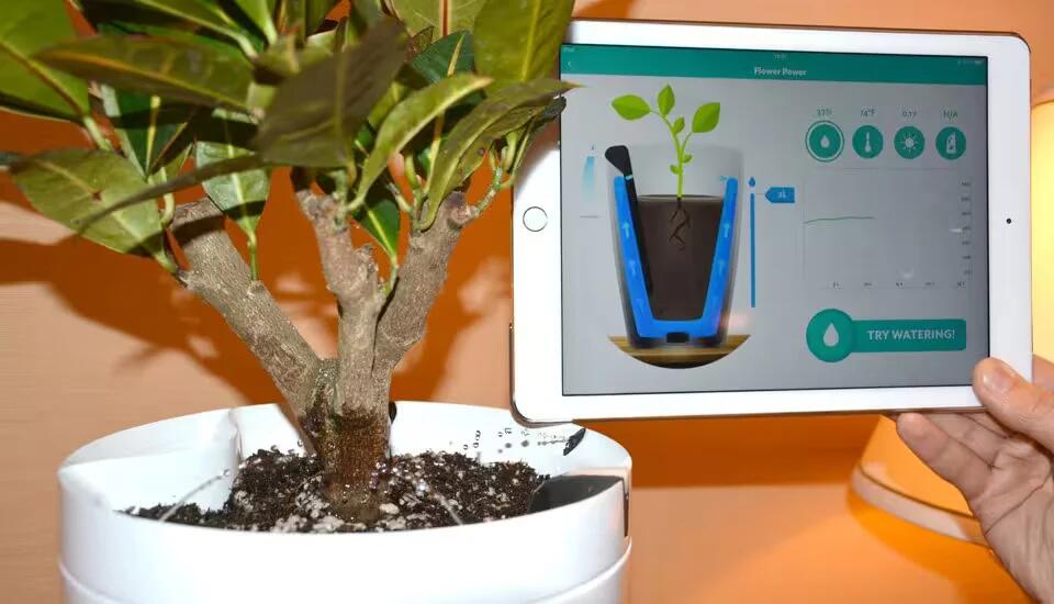 Parrot's Plant Sensors Can Do Watering