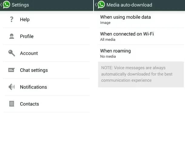 How To Use Auto Download - WhatsApp