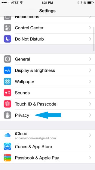 iPhone - Settings - Privacy Settings