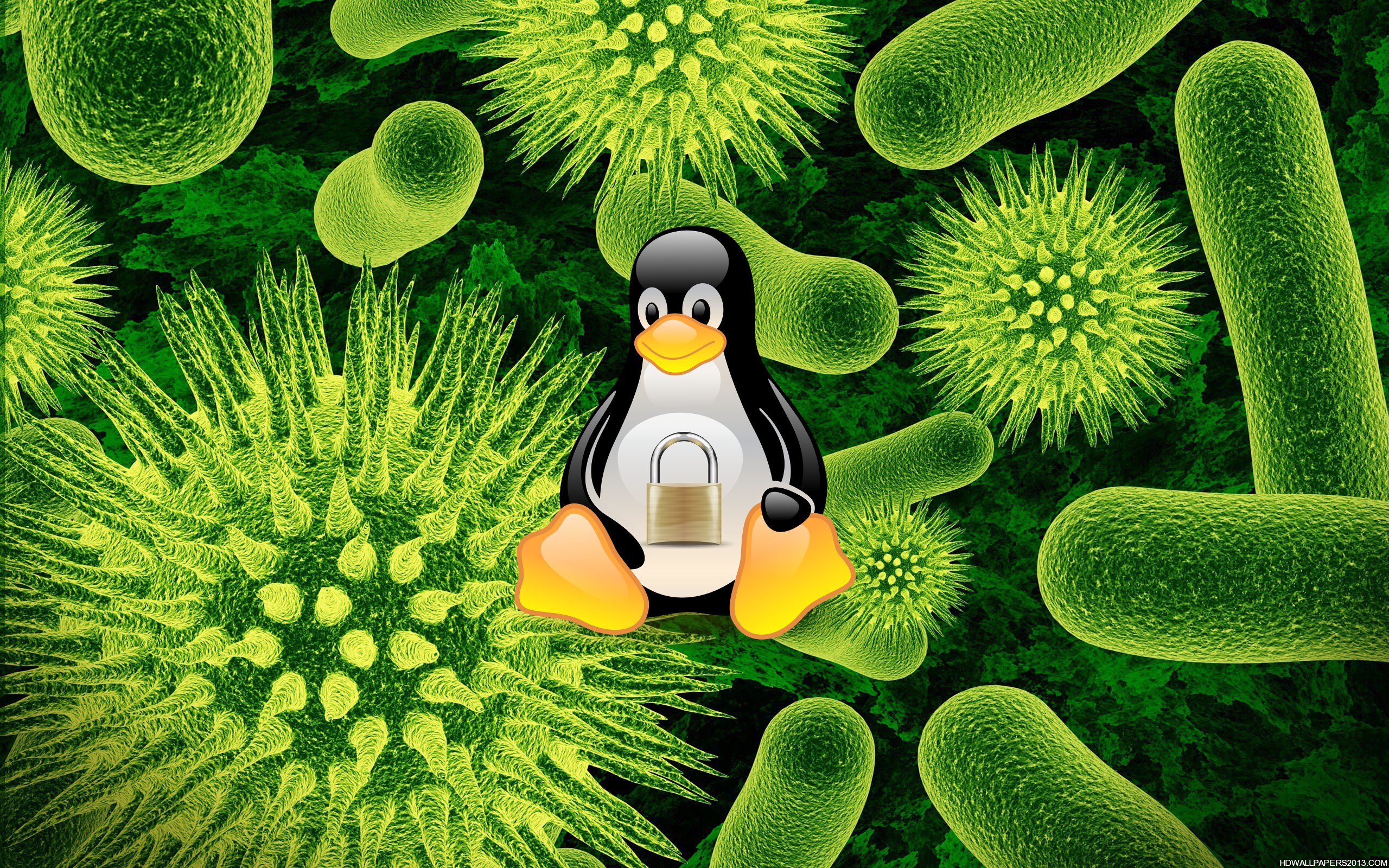 Linux Security - Virus