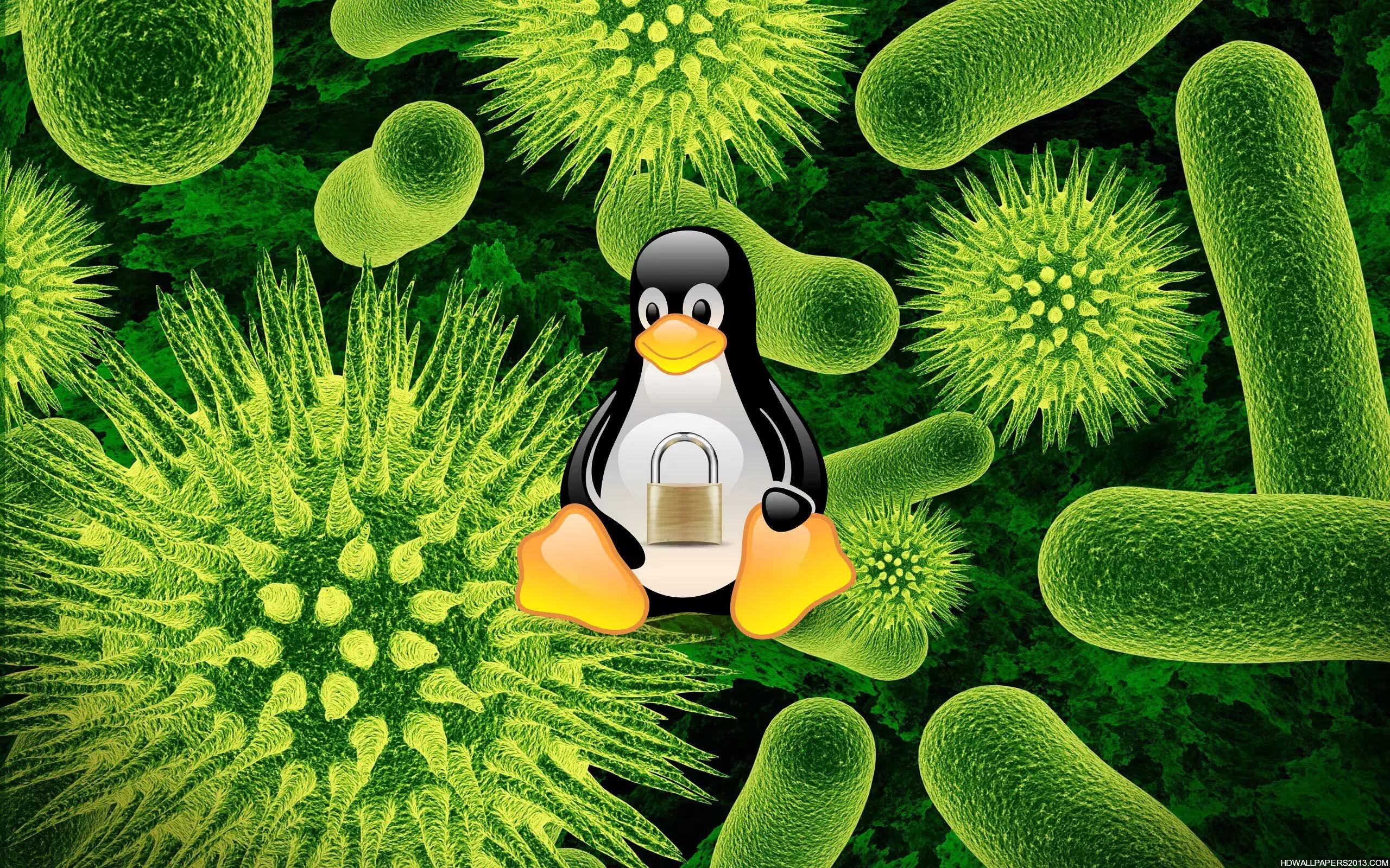 Linux Security - Virus