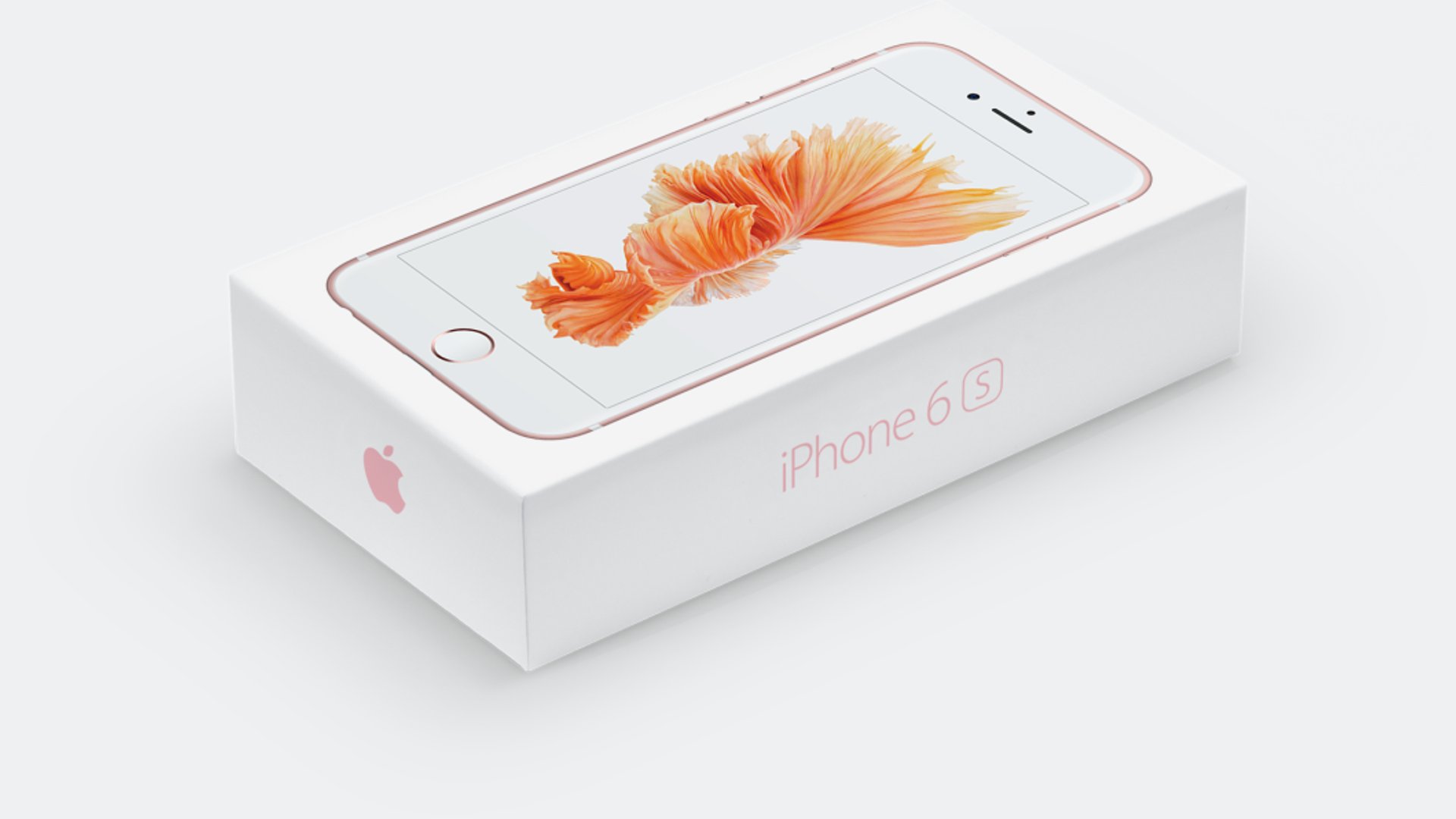 iPhone 6S Box (Rose Gold)