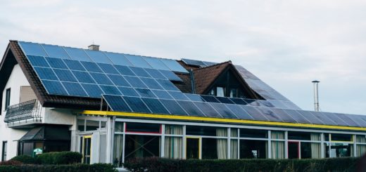 Solar Panel Technology for Homes / Photo by Markus Winkler on Unsplash