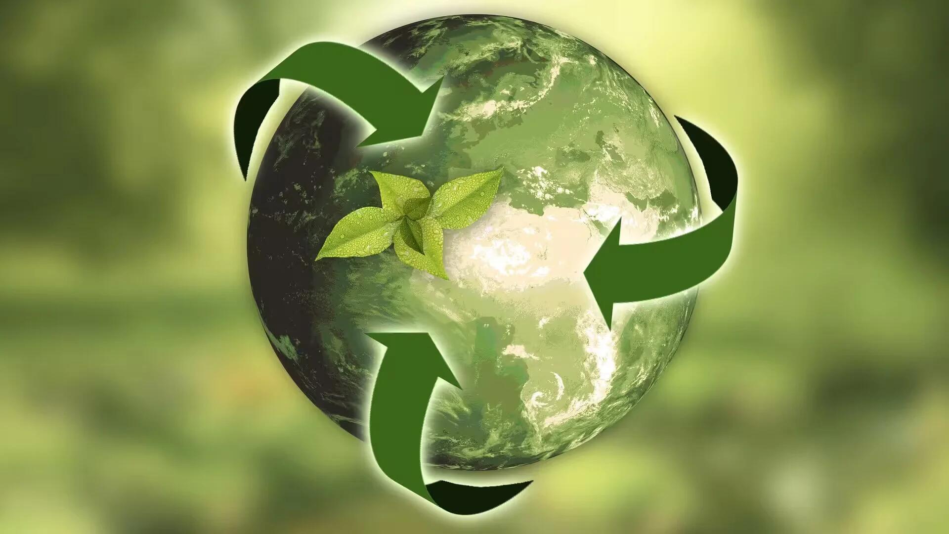 Victoria Gerrard La Crosse’s Guide to Effective Resource Management with Recycling Technologies